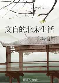 文盲的北宋生活