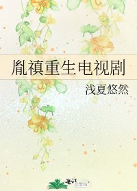 胤禛重生电视剧